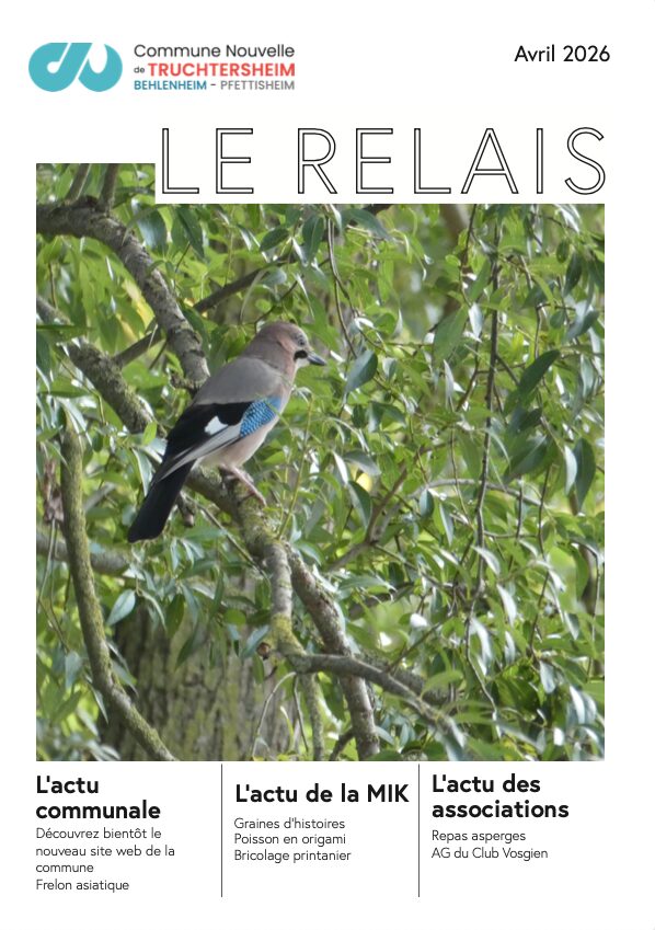 Oiseau sur arbre, couverture bulletin municipal