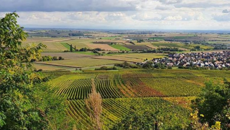 vue sur les champs