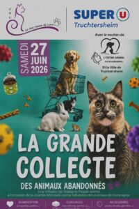 Affiche de l'événement, la grande collecte de matériel pour les animaux en refuge
