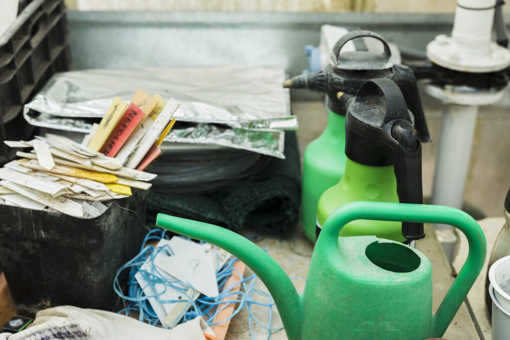 Arrosoir vert et outils de jardinage en serre