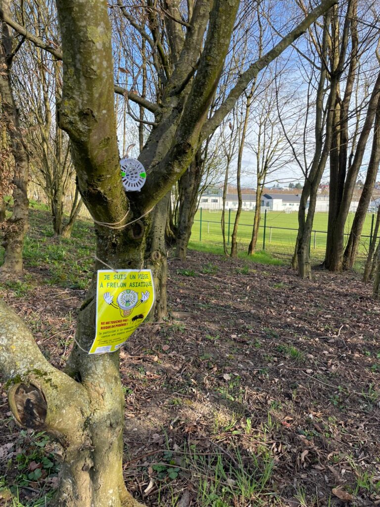 Des pièges à frelon ont été installés à de nombreux endroits comme au parc éco-pédagogique.