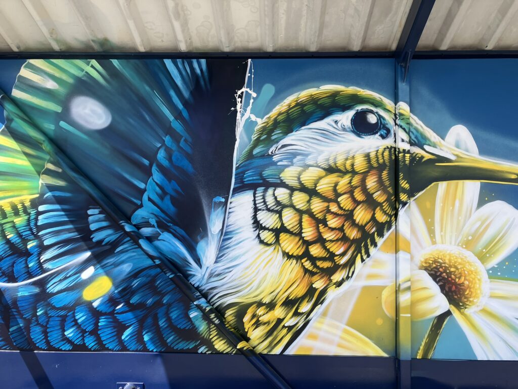 Photo de la fresque à Pfettisheim représentant un colibri