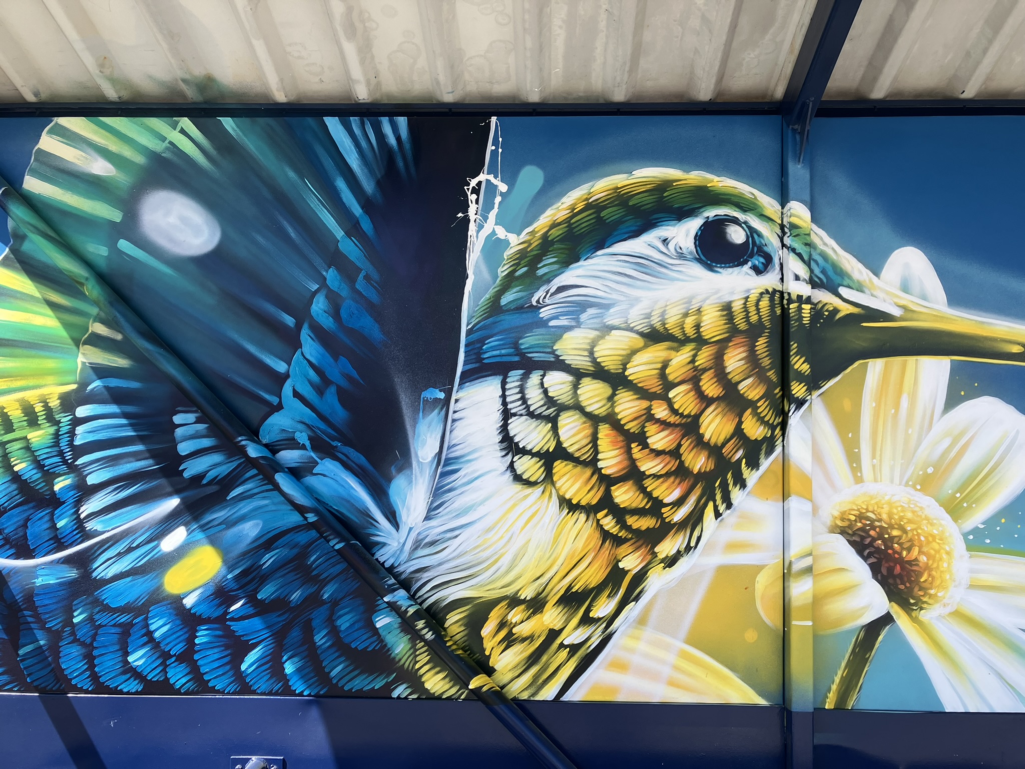 Photo de la fresque à Pfettisheim représentant un colibri