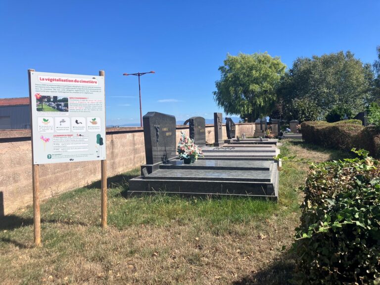 Vue du cimetière et d'une bande enherbé