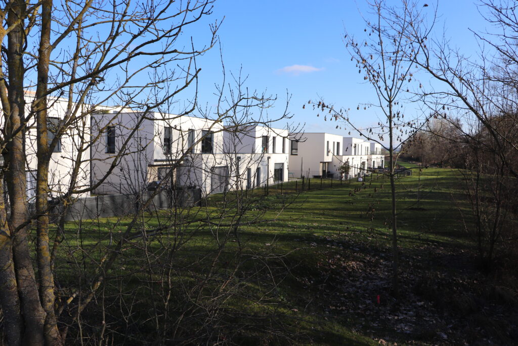 Maisons modernes blanches avec jardin et arbres nus