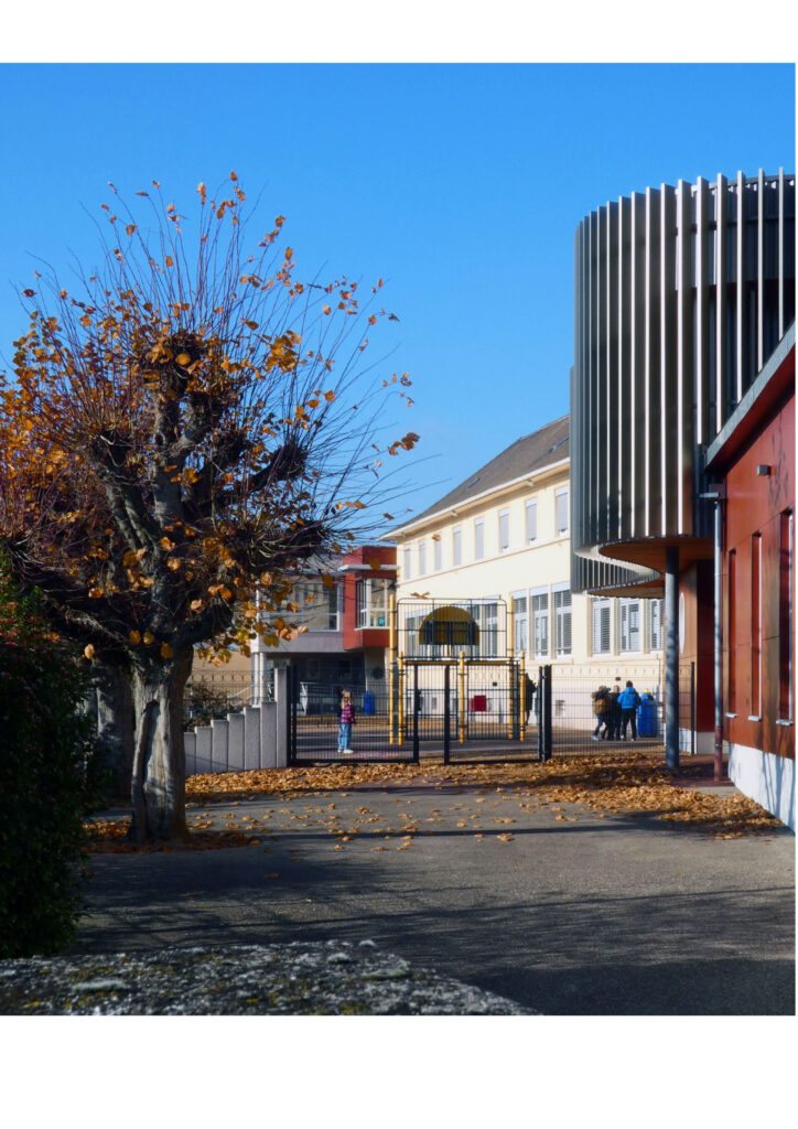 Cour d’école avec arbre en automne et bâtiment moderne