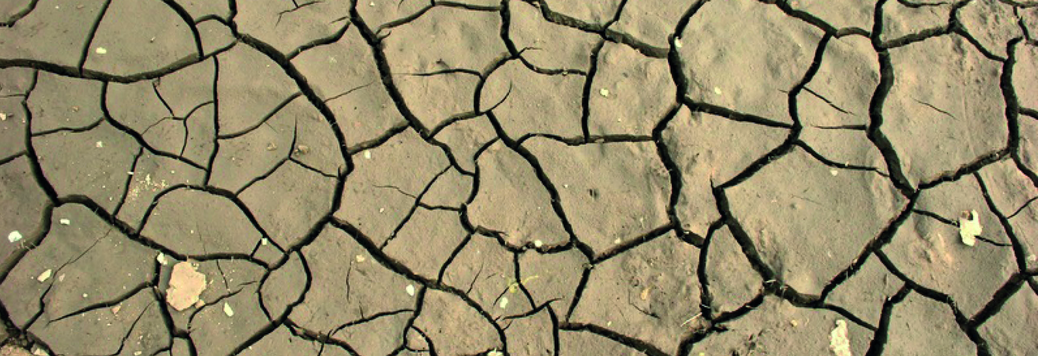 Photo représentant un sol très sec